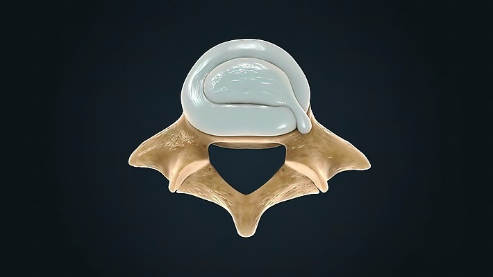 포토 JPG 해외이미지 척추동물 과학 백그라운드 신체 해부 뼈 골격 건강 사람 사람없음 약 고통 흰색 기둥 코드 질병 상처 척추 묘사 생물학 골다공증 외과 요통 해외202309 해외포토 동물 교육 건축 감정 컬러 의학 병원 허리통증 파일형식