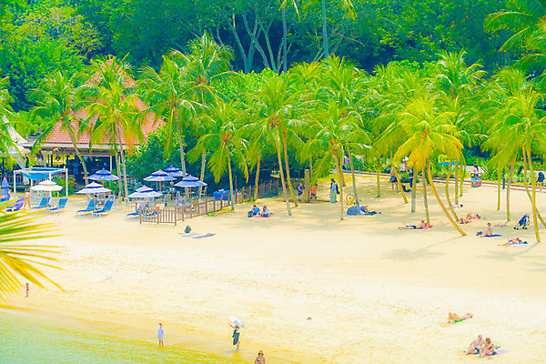 포토 JPG 해외이미지 해외 아시아 바다 여행 자연 하늘 사람없음 야외 동남아시아 휴양지 웨이브 싱가폴 해외202309 해외포토 나라 장소 생태계 파일형식
