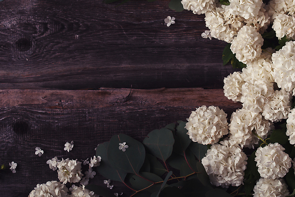 포토 JPG 해외이미지 식물 디자인 꽃 분홍색 꽃다발 결혼 백그라운드 잎 꽃무늬 패턴 자연 휴가 프레임 사랑 사람없음 목재 장식 초록색 여름 우주 봄 낭만 수확 벚꽃 흰색 나뭇가지 시골 인사 신용카드 생일 플랫 복고 초대 위치 내추럴 옛날 유칼립투스 스타일 해외202309 해외포토 나무 계절 기념일 감정 컬러 컨셉 무늬 농업 재료 이벤트 금융 예절 생태계 파일형식