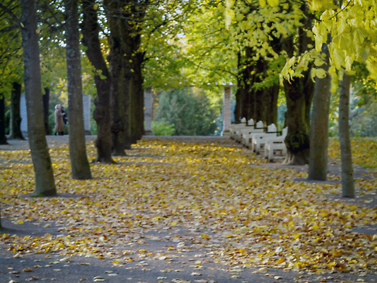 포토 JPG 해외이미지 식물 계절 길 컬러 컨셉 잎 패턴 오렌지 자연 벽지 추상 건조 사람없음 장식 빨간색 초록색 빛 컬러풀 햇빛 태양 뷰티 노란색 환경 맑음 어둠 일몰 활발 덮개 시골 황금 숲 유기농 질감 보케 장면 10월 블러 국경 해외202309 해외포토 자연요소 웰빙 무늬 과일 날씨 노을 뚜껑 날짜 생태계 파일형식