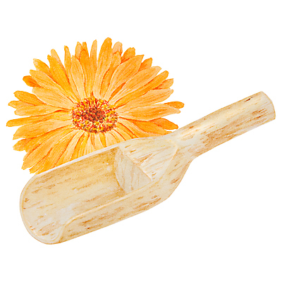 포토 JPG 해외이미지 클립아트 식물 꽃잎 꽃 포스터 결혼 꽃무늬 오렌지 일러스트 자연 해바라기 건강 미술 사람없음 치료 약 노란색 화장품 들꽃 성장 직물 인쇄 스케치 약국 꽃집 허브 그림 에코 원예 데이지 초대 화단 손그림 거베라 아로마테라피 금잔화 고립 엘리먼트 자연요법 캐모마일 현실 해외202309 해외일러스트 컬러 무늬 과일 의학 문화예술 이벤트 취미 뷰티 환경 상점 생태계 테라피 파일형식