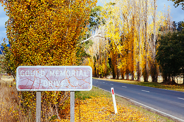 포토 JPG 해외이미지 나무 공원 도로 상징 컬러 잎 오렌지 교통시설 자연 안테나 풍경 사람없음 야외 건물 태양 갈색 노란색 환경 침묵 시골 황금 호주 언덕 지역 드론 옛날 유칼립투스 인기 해외202309 해외포토 자연요소 식물 건축물 공공시설 길 교통 과일 통신 소리 오세아니아 시설 생태계 파일형식