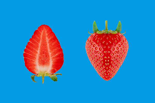 포토 JPG 해외이미지 계절 열매 음식 백그라운드 패턴 농업 과일 탁자 딸기 건강 사람없음 빨간색 초록색 파란색 정원 수확 신선 그룹 달콤 맛 유기농 날것 흙더미 내추럴 숙성 채식주의자 비건 맛있는 해외202309 해외포토 식물 웰빙 산업 컬러 가구 컨셉 무늬 흙 채식 파일형식 더미