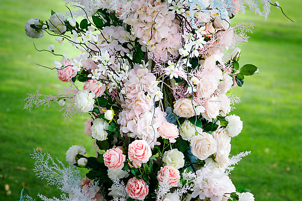 포토 JPG 해외이미지 꽃 분홍색 결혼 백그라운드 꽃무늬 발렌타인데이 잔디 사람없음 야외 장식 초록색 파란색 장미 축제 벚꽃 흰색 산호 선택 카피스페이스 해외202309 해외포토 식물 컬러 컨셉 무늬 데이이벤트 이벤트 공백 자포동물 파일형식