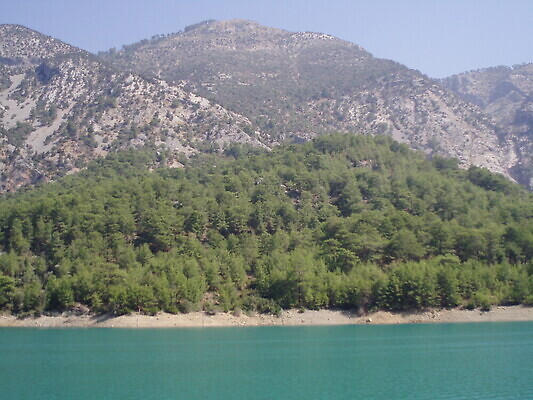 포토 JPG 해외이미지 나무 구름 배너 공원 꽃 유럽 호수 스포츠 여행 겨울 꽃무늬 자연 하늘 휴가 산 주택 파노라마 풍경 사람없음 야외 초록색 물 여름 파란색 태양 뷰티 반사 평화 계곡 맑음 침묵 봄 하이킹 숲 스위스 언덕 알프스 장면 내추럴 절정 해외202309 해외포토 자연요소 식물 계절 공공시설 나라 컬러 컨셉 무늬 레저 날씨 촬영기법 건물 소리 생태계 파일형식