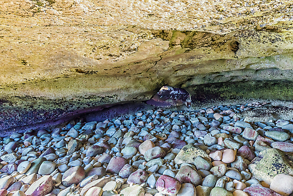 포토 JPG 해외이미지 바다 여행 아프리카 자연 아침 풍경 사람없음 햇빛 맑음 봄 시골 동굴 보호 큼 속도 인도양 남아프리카 보호구역 해외202309 해외포토 주간 계절 나라 컨셉 날씨 태양 크기 생태계 구역 파일형식
