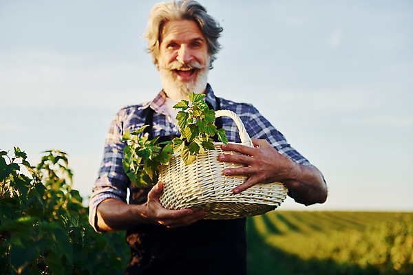 포토 JPG 해외이미지 열매 노년 남자 밭 농업 한명 들기 상반신 앞모습 농경지 바구니 농사 수확 시골 농부 노인남자한명만 해외202309 해외포토 식물 직업 1 산업 뷰포인트 모션 사람 성인 농장 남자한명만 노인남자만 파일형식