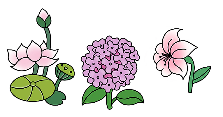 포토 JPG 해외이미지 식물 디자인 꽃 분홍색 잎 꽃무늬 일러스트 자연 연꽃 미술 사람없음 장식 여름 세트 정원 봄 벚꽃 신용카드 낙서 백합 그림 수국 엘리먼트 해외202309 해외일러스트 계절 컬러 무늬 문화예술 금융 생태계 파일형식