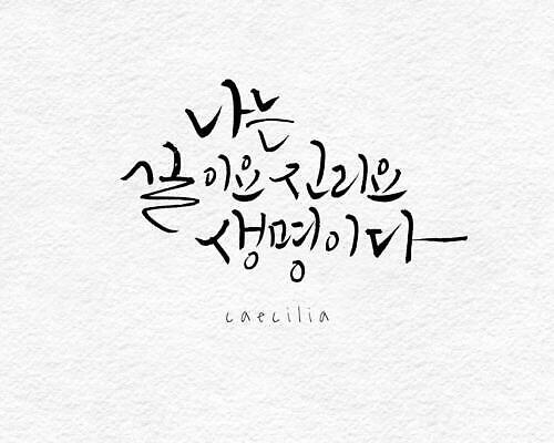 포토 JPG 해외이미지 선 일러스트 캘리그라피 텍스트 흑백 미술 사람없음 그래픽 흰색 기록 심볼 그림 필기체 해외202309 해외일러스트 문자 컬러 문화예술 촬영기법 파일형식