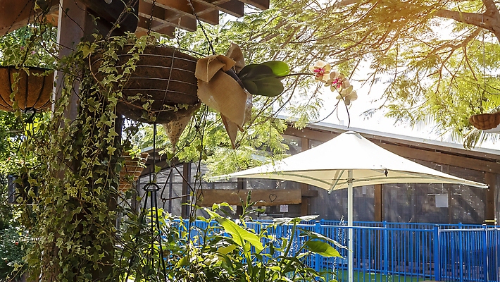 포토 JPG 해외이미지 나무 식물 외관 공원 여행 백그라운드 우산 건축양식 자연 지붕 주택 매달리기 건강 풍경 사람없음 야외 건물 목재 초록색 물 여름 파란색 햇빛 뷰티 마을 정원 냄비 숲 옛날 그리너리 해외202309 해외포토 자연요소 건축물 계절 공공시설 건축 컬러 재료 모션 태양 솥 생태계 파일형식 트랜드컬러