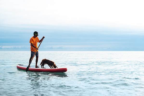 포토 JPG 해외이미지 라이프스타일 남자 실루엣 스포츠 바다 여행 백그라운드 자연 휴가 휴식 건강 한명 웃음 성인 야외 물 반려동물 운동 태양 뷰티 자유 서핑보드 서핑 개 연습 해외202309 해외포토 자연요소 동물 1 컨셉 포유류 촬영기법 표정 사람 생활 수상스포츠 보드_스포츠 생태계 파일형식