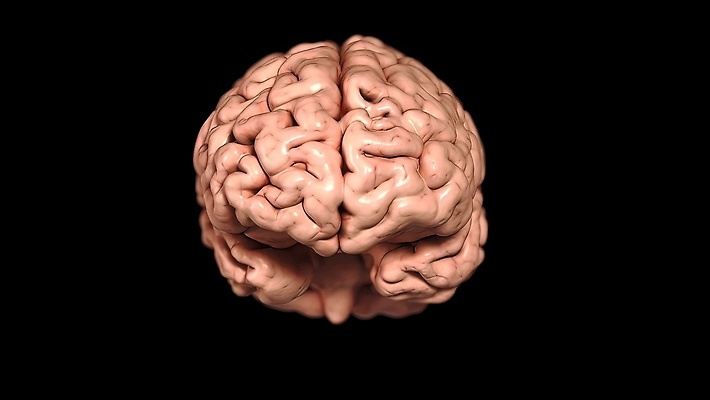 포토 JPG 해외이미지 교육 과학 일러스트 해부 세포 건강 사람 사람없음 약 머리 마음 네트워크 오르간 뇌 생물학 신호 해외202309 해외일러스트 의학 신체부위 건반악기 파일형식