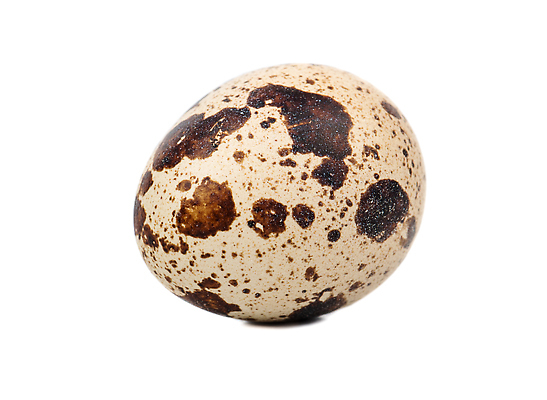 포토 JPG 해외이미지 동물 음식 백그라운드 다이어트 재료 자연 조류 부활절 건강 사람없음 갈색 계란 껍질 흰색 신선 점 얼룩 아침식사 상품 작음 먹기 오브젝트 싱글 유기농 날것 내추럴 고립 단백질 메추리 생식 식품점 해외202309 해외포토 웰빙 기념일 컬러 모션 상점 알 식사 크기 생태계 영양소 파일형식