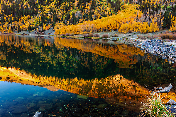 포토 JPG 해외이미지 나무 계절 도로 컬러 여행 백그라운드 잎 돈 자연 휴가 산 사람없음 야외 컬러풀 뷰티 반사 노란색 달러 미국 탐험 나뭇가지 고속도로 황무지 황금 고독 숲 멀리 탐사 콜로라도 해외202309 해외포토 식물 감정 길 북아메리카 교통시설 재산 생태계 파일형식