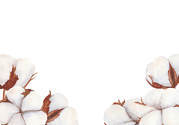 포토 JPG 해외이미지 식물 디자인 옷 꽃 꽃다발 결혼 크리스마스 꽃무늬 수채화 새해 프레임 따뜻함 미술 사람없음 장식 유행 라벨 화장품 수확 나뭇가지 직물 면 신용카드 인쇄 천 유기농 초대 부드러움 손그림 솜털 내추럴 고립 구성 국경 안락 해외202309 해외포토 나무 웰빙 기념일 컨셉 무늬 농업 문화예술 이벤트 금융 뷰티 감각 파일형식