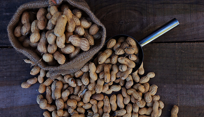 포토 JPG 해외이미지 음식 백그라운드 가방 재료 벽지 건강 씨앗 사람없음 목재 농작물 갈색 쌓기 숟가락 견과류 수확 그룹 맛 낟알 굽기 삽 묘사 유기농 날것 땅콩 흙더미 내추럴 많음 해외202309 해외포토 나무 식물 웰빙 잡화 컬러 컨셉 농업 모션 수저 흙 구이 파일형식 더미