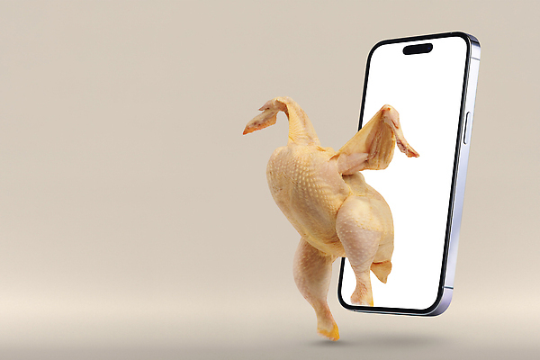 포토 JPG 해외이미지 음식 백그라운드 컨셉 인터넷 채소 통신 모바일 주택 사람없음 스마트폰 핸드폰 쇼핑 세일 우주 상점 검은색 카트 회색 신선 잡기 어플리케이션 구매 고객 서비스 질서 온라인 슈퍼마켓 전자상거래 고립 마케팅 해외202309 해외포토 컬러 모션 건물 전자제품 스마트기기 예절 파일형식