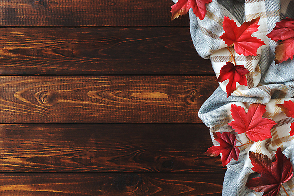 포토 JPG 해외이미지 라이프스타일 계절 음료 백그라운드 컨셉 잎 탁자 휴식 주택 따뜻함 풍경 사람없음 목재 농장 소풍 평화 마을 정원 목도리 수확 가을 시골 시간 뜨거움 차 복고 장면 주말 일요일 구성 무료 안락 해외202309 해외포토 나무 식물 잡화 가구 농업 재료 건물 생활 야외활동 요일 파일형식