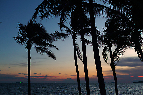 포토 JPG 해외이미지 나무 실루엣 아시아 바다 섬 여행 백그라운드 자연 하늘 휴가 손바닥 풍경 사람없음 물 여름 햇빛 태양 일출 보라색 일몰 저녁 휴양지 코코넛 파라다이스 해외202309 해외포토 자연요소 식물 손 계절 나라 컬러 과일 촬영기법 노을 장소 야간 생태계 파일형식