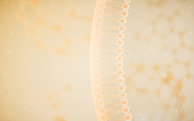 포토 JPG 해외이미지 과학 컨셉 세포 건강 사람없음 약 노란색 3D 대기 실험실 선택 보호 생물학 원자 미생물 층 단백질 화학물질 셀룰러 해외202309 해외포토 교육 컬러 의학 생물 실험 화학 디지털합성 영양소 파일형식