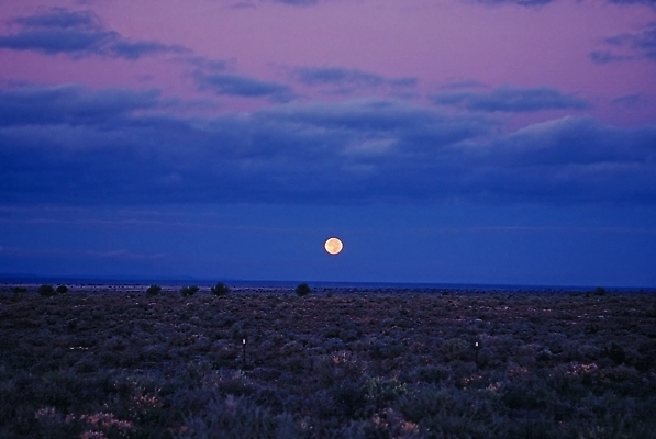 포토 JPG 해외이미지 식물 구름 자연 하늘 사람없음 사막 애리조나 해외202309 해외포토 자연요소 미국 생태계 파일형식