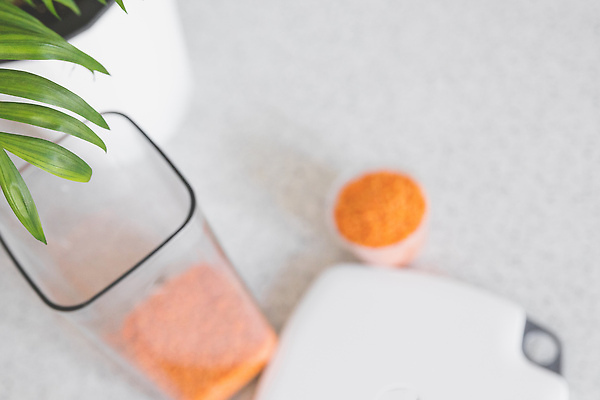 포토 JPG 해외이미지 잎 저울 사람없음 컵 계산 준비 계량 렌즈콩 해외202309 해외포토 식물 식기 파일형식