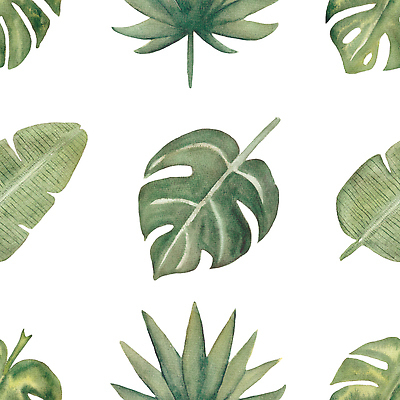 포토 JPG 해외이미지 나무 식물 디자인 백그라운드 잎 꽃무늬 패턴 일러스트 자연 벽지 휴가 수채화 손바닥 사람없음 그래픽 장식 초록색 여름 컬러풀 뷰티 유행 정원 봄 나뭇가지 신선 인쇄 열대우림 하와이 내추럴 고립 엘리먼트 이국적 파라다이스 포장소품 반복 해외202309 해외일러스트 손 계절 꽃 컬러 무늬 포장 미국 숲 오브젝트 생태계 포장재료 파일형식