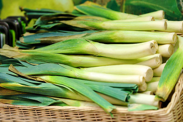포토 JPG 해외이미지 식물 계절 음식 줄기 백그라운드 잎 농업 다이어트 채소 재료 자연 양파 건강 요리 사람 사람없음 초록색 농작물 농장 정원 수확 시골 신선 시장 맛 농부 먹기 허브 유기농 원예 날것 부추 비타민 내추럴 채식주의자 비건 맛있는 해외202309 해외포토 직업 웰빙 산업 컬러 컨셉 모션 취미 생태계 채식 영양소 파일형식