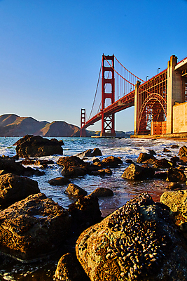 포토 JPG 해외이미지 도로 음식 모래 파도 바다 상징 여행 건축양식 교통시설 하늘 사람없음 빨간색 물 파란색 여행객 탑 항구 황혼 일몰 도시 만 고가도로 역사 황금 연결 해산물 대문 캘리포니아 홍합 스카이라인 공학 천연기념물 랜드마크 샌프란시스코 지원 해외202309 해외포토 자연요소 건축물 교육 건축 길 컬러 교통 어패류 사람 문 노을 미국 고속도로 시설 파일형식