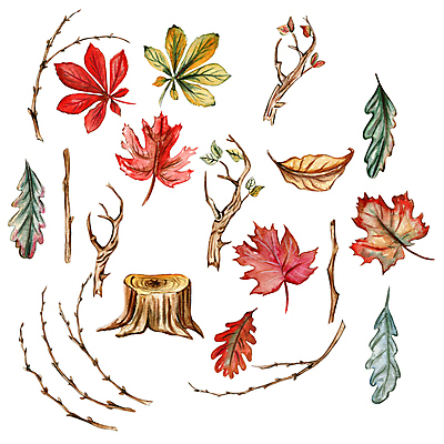 포토 JPG 해외이미지 클립아트 식물 템플릿 계절 꽃 꽃다발 결혼 스티커 잎 꽃무늬 채소 오렌지 자연 호박 휴가 미술 사람없음 장식 빨간색 초록색 노란색 정원 화환 봄 할로윈 수확 나뭇가지 시골 얼룩 스케치 볼터치 수집 질감 복고 초대 추수감사절 10월 고립 구성 엘리먼트 스타일 해외202309 해외포토 나무 기독교 컬러 무늬 농업 과일 문화예술 이벤트 화장 날짜 생태계 파일형식