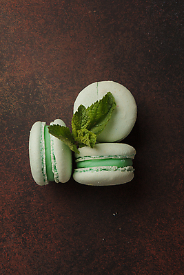 포토 JPG 해외이미지 사람없음 초록색 달콤 허브 마카롱 해외202309 해외포토 식물 컬러 디저트 맛 파일형식