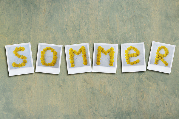 포토 JPG 해외이미지 모양 식물 디자인 꽃잎 꽃 행복 백그라운드 컨셉 패턴 텍스트 탁자 휴가 휴식 안테나 사람없음 목재 초록색 단어 태양 노란색 정원 맑음 봄 민들레 편지 배열 허브 심볼 서식 엽서 머리위 내추럴 플랫레이 카피스페이스 미니멀 해외202309 해외포토 자연요소 나무 문자 계절 감정 컬러 가구 무늬 재료 통신 날씨 공백 플랫 파일형식