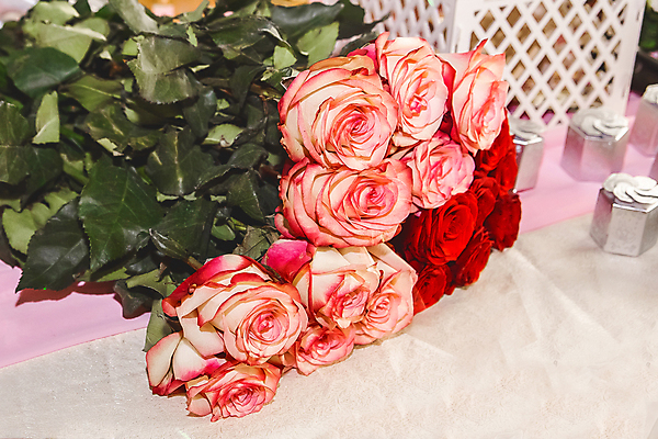 포토 JPG 해외이미지 식물 디자인 기념일 꽃잎 꽃 분홍색 컬러 꽃다발 결혼 백그라운드 잎 꽃무늬 자연 벽지 휴가 발렌타인데이 선물 사랑 사람없음 장식 빨간색 초록색 빛 컬러풀 뷰티 장미 정원 봄 낭만 벚꽃 흰색 축하 인사 신선 신용카드 다발 심볼 내추럴 고립 해외202309 해외포토 계절 감정 컨셉 무늬 데이이벤트 이벤트 금융 예절 생태계 파일형식