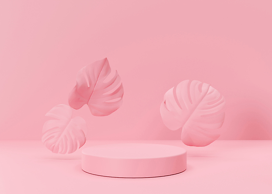 포토 JPG 해외이미지 분홍색 백그라운드 잎 사람없음 공간 원형 단상 포디움 해외202309 해외포토 도형 식물 컬러 무대 파일형식