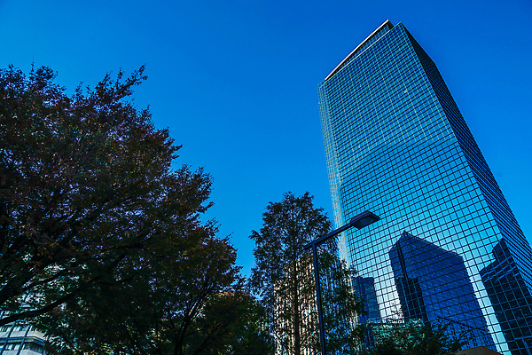 포토 JPG 해외이미지 식물 구름 단풍 잎 비즈니스 자연 하늘 풍경 사람없음 야외 건물 도시풍경 사무실 일본 맑음 고층빌딩 가을 도시 도쿄 만족 기관 해외202309 해외포토 자연요소 건축물 계절 감정 아시아 날씨 빌딩 생태계 파일형식