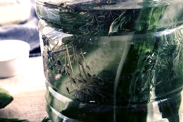 포토 JPG 해외이미지 접시 음료 음식 다이어트 채소 재료 유리 탁자 오이 실내 건강 마늘 요리 사람없음 목재 가로 초록색 주방 저녁식사 수확 시골 신선 항아리 상품 허브 향신료 유기농 소금 로즈메리 딜 절임 채식주의자 핸드메이드 맛있는 나무배경 해외202309 해외포토 나무 식물 식기 웰빙 컬러 가구 백그라운드 농업 재질 내부 식사 도자기 채식 향미료 파일형식