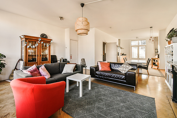 포토 JPG 해외이미지 식물 화분 쿠션 의자 창문 식탁 탁자 사람없음 인테리어 소파 문 카펫 공간 방 기타 장식장 해외202309 해외포토 디자인 가구 현악기 파일형식