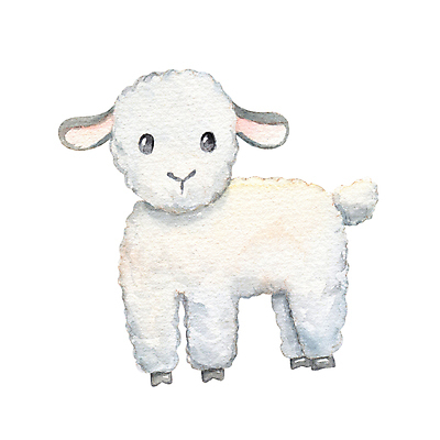 포토 JPG 해외이미지 동물 일러스트 포유류 자연 서기 사람없음 뷰티 농장 귀여움 마을 가축 목장 흰색 시골 양 만화 그림 양고기 고립 밭일 해외202309 해외일러스트 컬러 컨셉 농업 모션 육류 생태계 파일형식