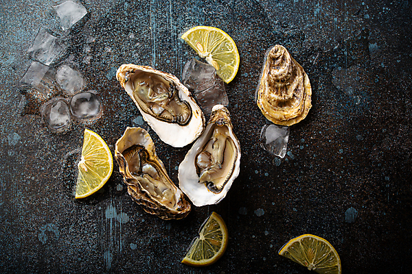 포토 JPG 해외이미지 어패류 사람없음 얼음 굴 신선 레몬 해산물 해외202309 해외포토 자연요소 동물 과일 파일형식