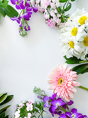 포토 JPG 해외이미지 꽃 잎 사람없음 봄 흰배경 카피스페이스 해외202309 해외포토 식물 계절 백그라운드 공백 흰색 파일형식