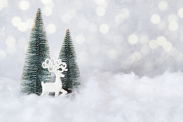 포토 JPG 해외이미지 나무 템플릿 디자인 계절 행복 컬러 백그라운드 크리스마스 겨울 휴가 사슴 새해 뿔 사람없음 목재 장식 초록색 장난감 크리스마스트리 축제 활발 피규어 흰색 시골 축하 인사 신용카드 보케 전나무 구성 순록 엘크 오리지널 인공 정물화 카피스페이스 미니멀리스트 미니멀 해외202309 해외포토 식물 기념일 감정 컨셉 재료 포유류 금융 공백 미니어처 예절 그림 파일형식