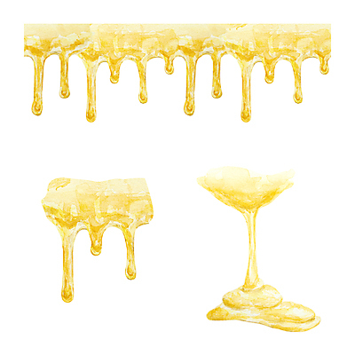 JPG 해외이미지 일러스트 사람없음 달콤 꿀 허니콤 해외202309 해외일러스트 모양 맛 파일형식