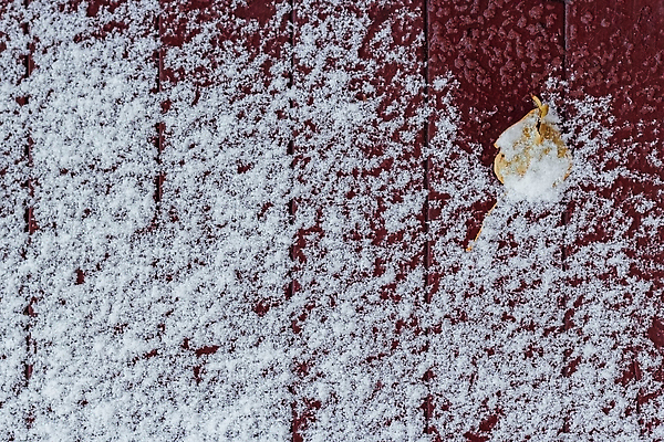 포토 JPG 해외이미지 디자인 계절 길 조각 백그라운드 잎 겨울 자연 벽지 표면 날씨 거리 바닥 사람없음 야외 목재 빨간색 냉동 얼음 추위 흰색 신선 눈송이 보행로 널 갑판 질감 서리 내추럴 폭설 눈내림 카피스페이스 비어있는 해외202309 해외포토 자연요소 나무 식물 컬러 배_교통 재료 눈_날씨 공백 자연재해 생태계 파일형식