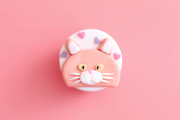 포토 JPG 해외이미지 사람없음 장식 하이앵글 한개 고양이 달콤 컵케이크 생크림 분홍색배경 해외202309 해외포토 1 뷰포인트 분홍색 백그라운드 포유류 반려동물 케이크 맛 크림 파일형식