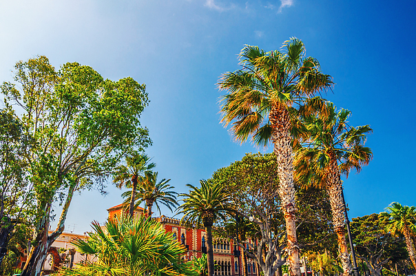 포토 JPG 해외이미지 여행 건축양식 자연 하늘 새로움 거리 사람 풍경 사람없음 야외 건물 여름 파란색 도시풍경 뷰티 우주 이탈리아 산책로 도시 빌라 묘사 남쪽 조각가 스타일 해외202309 해외포토 건축물 계절 건축 유럽 길 컬러 컨셉 주택 방향 생태계 파일형식