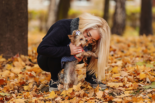 포토 JPG 해외이미지 나무 동물 공원 여자 행복 잎 2 오렌지 회사 포유류 모션 자연 놀이 휴식 털 사랑 한명 미소 사람 앉기 야외 반려동물 금발 뷰티 노란색 유행 걷기 우정 산책 기쁨 미니어처 가을 흰색 개 강아지 요크셔테리어 테리어 송곳니 내추럴 순혈 해외202309 해외포토 식물 1 헤어스타일 계절 공공시설 감정 컬러 컨셉 과일 비즈니스 표정 친구 모형 치아 생태계 파일형식