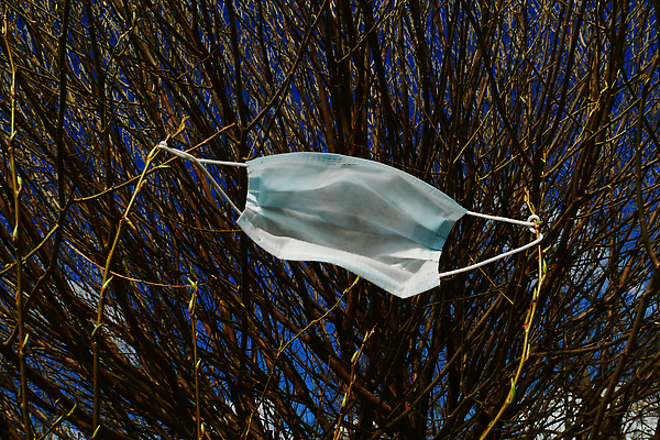 포토 JPG 해외이미지 나무 자연 매달리기 건강 가면 사람없음 가로 수술 바이러스 보호 질병 쓰레기 예방 감염 번짐 전염 낭비 고립 돌봄 코로나바이러스 락다운 해외202309 해외포토 식물 컨셉 의학 모션 치료 생태계 파일형식 효과