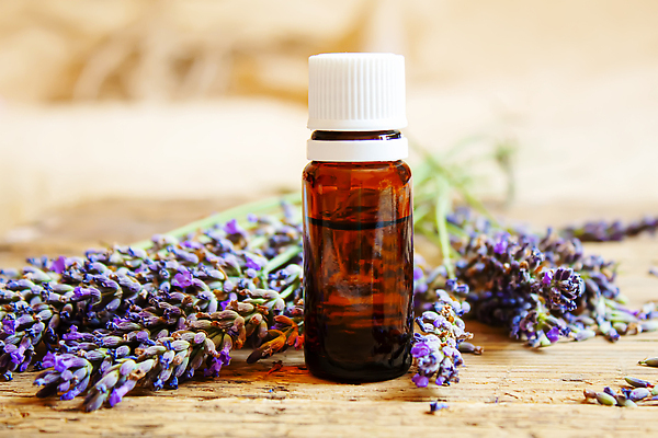 포토 JPG 해외이미지 사람없음 아웃포커스 오일 아로마테라피 라벤더 내추럴 에센스 오일병 해외202309 해외포토 꽃 음식 촬영기법 화장품 허브 테라피 파일형식