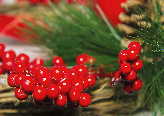 포토 JPG 해외이미지 모양 나무 계절 별 문화 컬러 백그라운드 크리스마스 겨울 공 탁자 휴가 새로움 매달리기 사람 사람없음 목재 장식 가로 빨간색 초록색 빛 우주 화환 금지 흰색 시골 축하 인사 거친 화려 유머 널 소프트포커스 연도 복고 상록수 구식 여의주 옛날 방식 해외202309 해외포토 자연요소 식물 기념일 꽃 감정 가구 컨셉 재료 모션 촬영기법 예절 파일형식