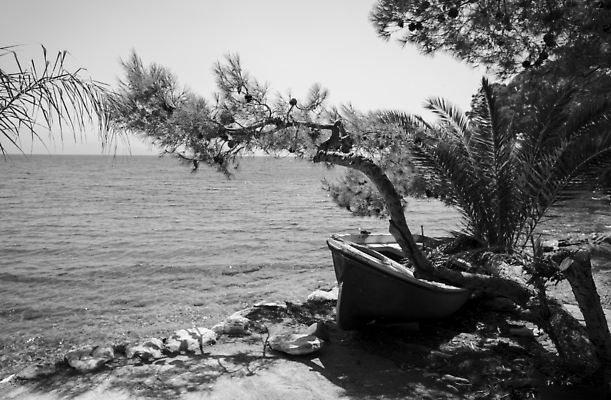 포토 JPG 해외이미지 나무 바다 여행 교통시설 자연 하늘 날씨 항해 사람없음 야외 목재 물 맑음 침묵 손상 수확 만 보트 나룻배 버리기 그리스 함선 장면 암초 깨짐 뱃놀이 옛날 조난 수평선 해외202309 해외포토 자연요소 식물 유럽 교통 컨셉 농업 배_교통 재료 모션 전통놀이 소리 시설 생태계 파일형식